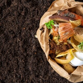 compost next to a brown bag of food scraps