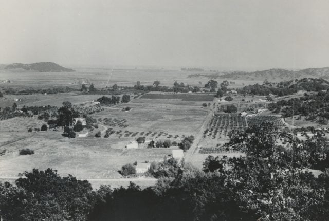 Novato 1946